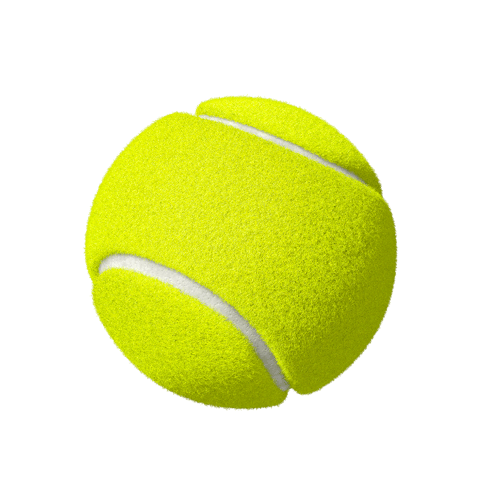  Bola  de tenis  fisiofernandes