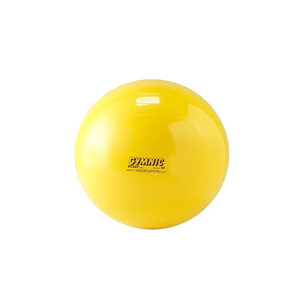 Bola Suiça 45cm – fisiofernandes