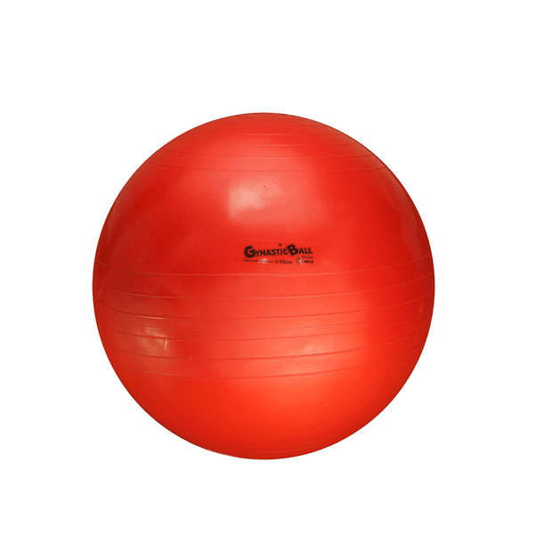 bola-suica-pilates-rpg-55cm-2